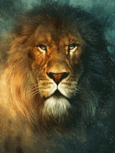 Gif animé lion regard